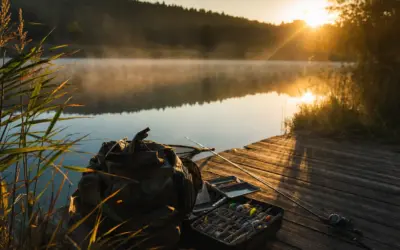 How to Organize Your Tackle Box for Fast, Frustration-Free Fishing