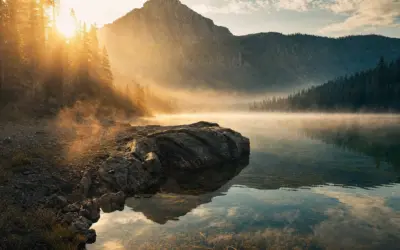 How to Read the Water: Finding Fish in Lakes, Rivers, and Streams
