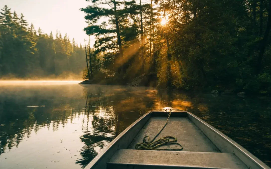Best Polarized Sunglasses for Fishing: 7 Top Picks