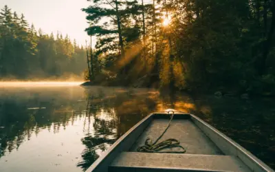 Best Polarized Sunglasses for Fishing: 7 Top Picks
