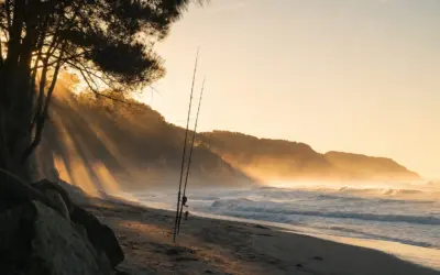 Surf Fishing Rods: A Beginner’s Complete Guide