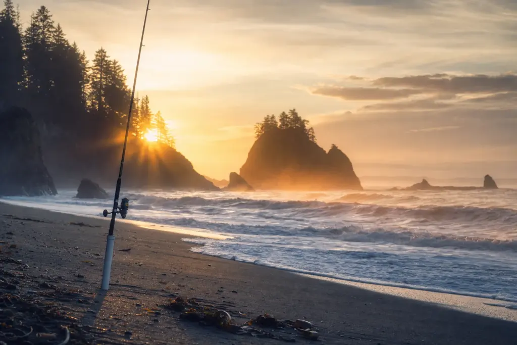 8 Best Saltwater Spinning Reels for Surf & Inshore