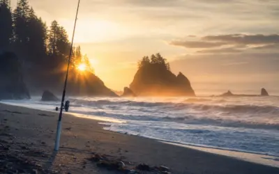 8 Best Saltwater Spinning Reels for Surf & Inshore