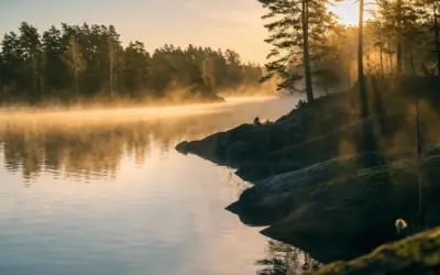 The Ultimate Guide to Walleye Fishing