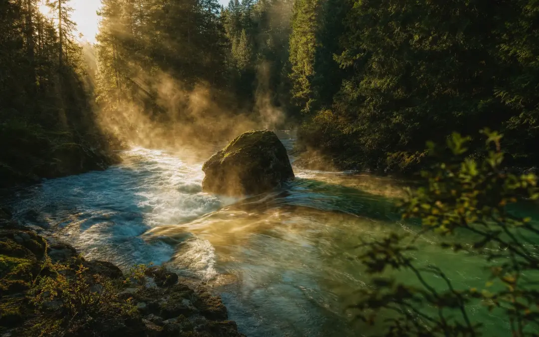 River & Stream Fishing: Reading Current & Targeting Holes